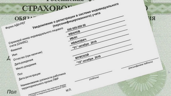 СНИЛС заменили на уведомление