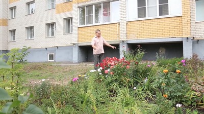 Дом образцового содержания
