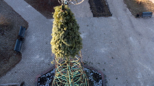 071220elka