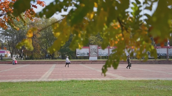 Краски осени