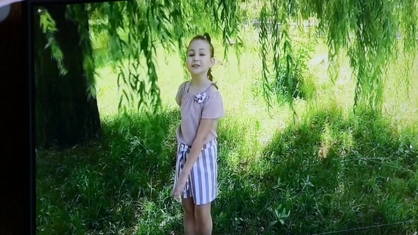 Сам себе артист