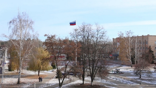 Как получить сведения ЕГРН