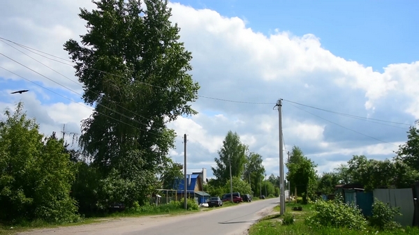 11 участковых уполномоченных полиции 