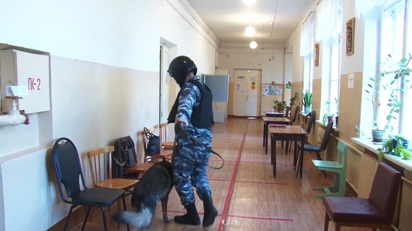 За неделю до выборов