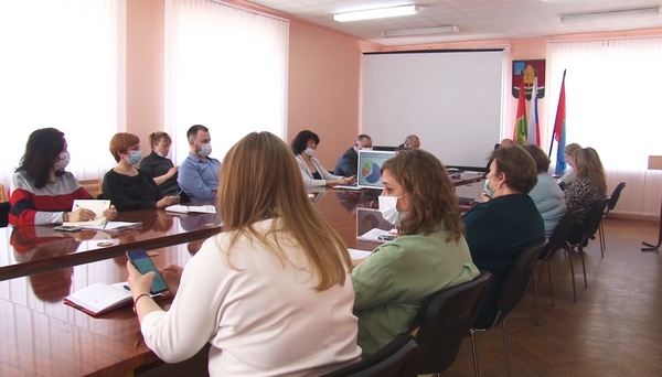 Дороги, бездомные собаки, вакцинация и не только
