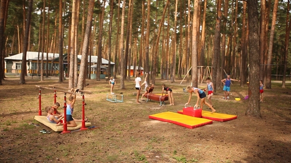 Спортивная гимнастика, греко-римская борьба, рукопашный бой, дзюдо