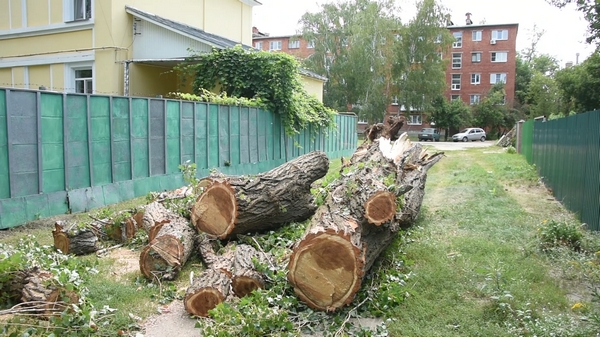Дерево упало на крышу дома