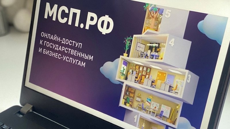 Меры поддержки