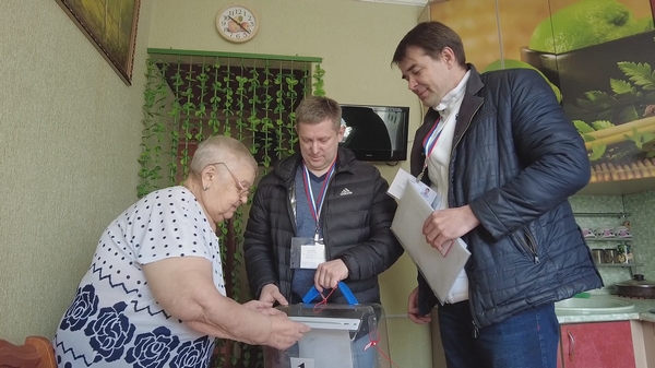 Голосование на дому