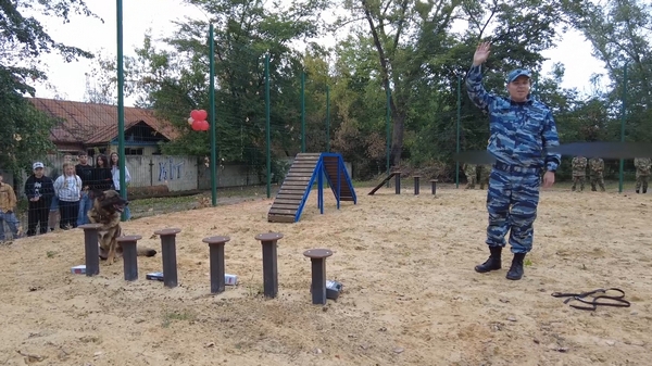 В Котовске отметили День кинолога