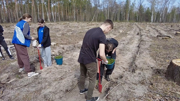 Сад памяти