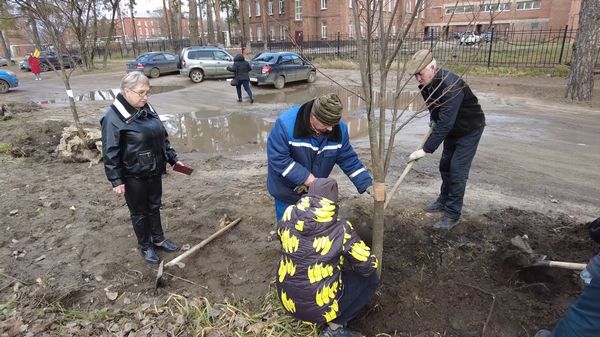 Стратегия зеленого роста