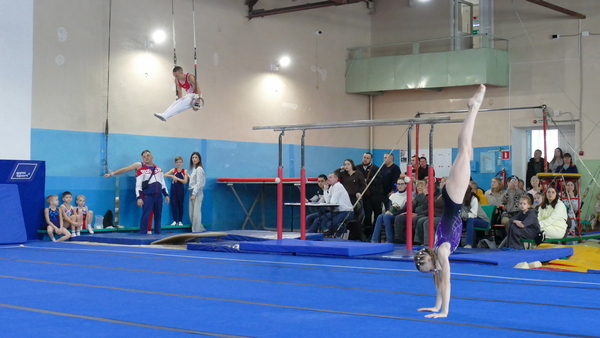 Первенство области по спортивной гимнастике