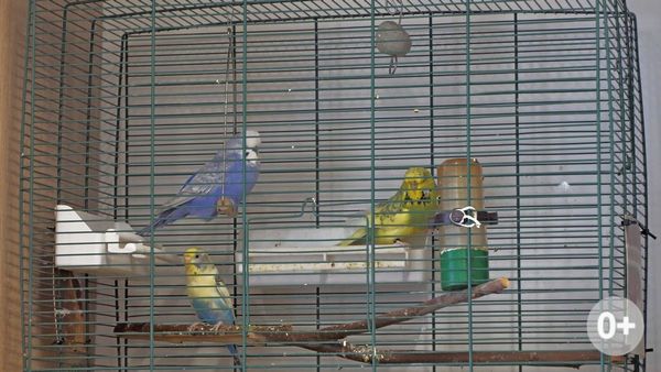 Щедрый вторник