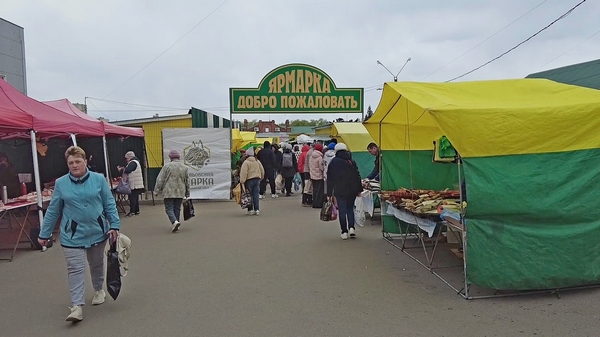 «Выбирай своё»