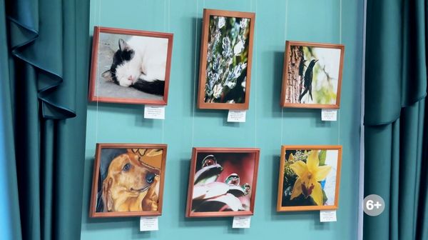 Успешный дебют