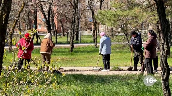 Чистота – дело каждого