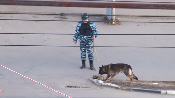 Ложная тревога