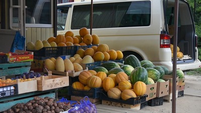 Наступает пик сезона продаж бахчевых культур 
