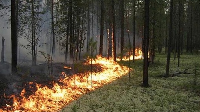 Чтобы не было пожара