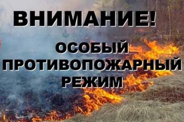 Посещение лесов в Котовске – под запретом